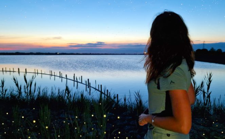 Salina sotto le stelle